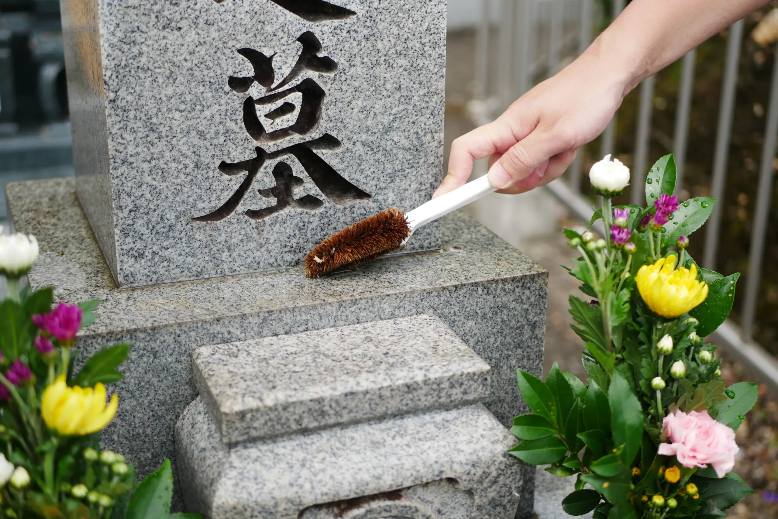 墓掃除