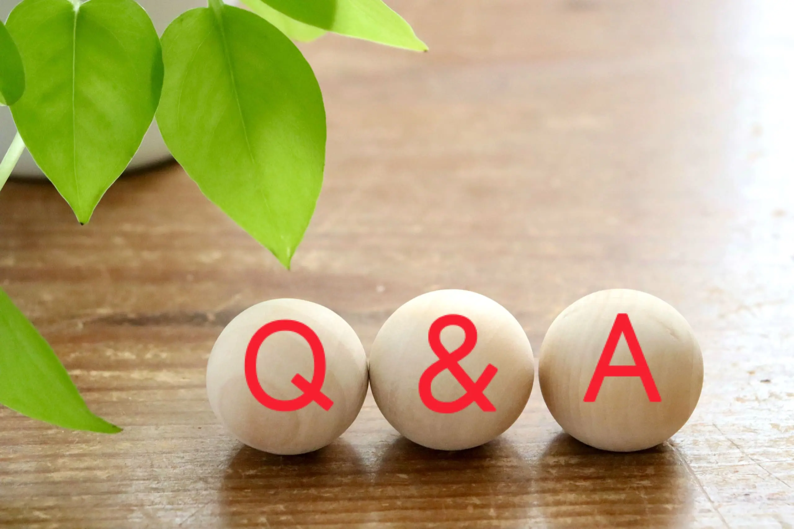 Q&A