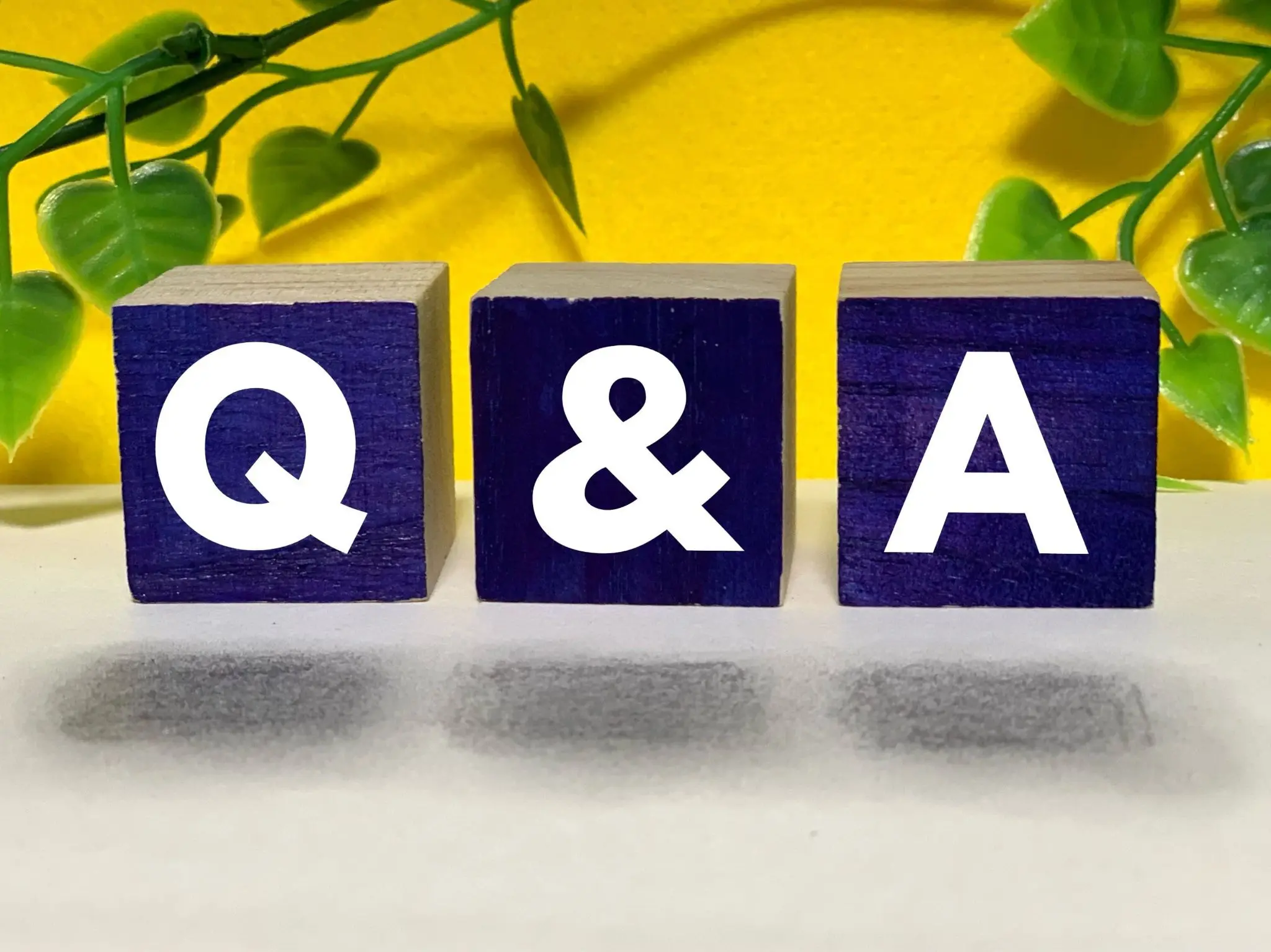 Q&A